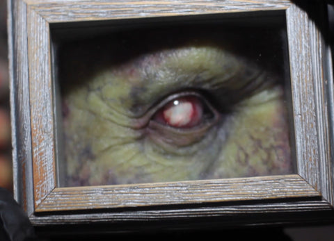 IN STOCK & Ready to Ship! The Watcher Mini Shadow Box Zombie Variant Eye not included