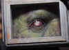 IN STOCK & Ready to Ship! The Watcher Mini Shadow Box Zombie Variant Eye not included