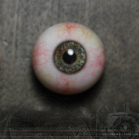 "Johnny" Eye Dark Hazel Green Blue Eye Hyper-Realistic Human Eye