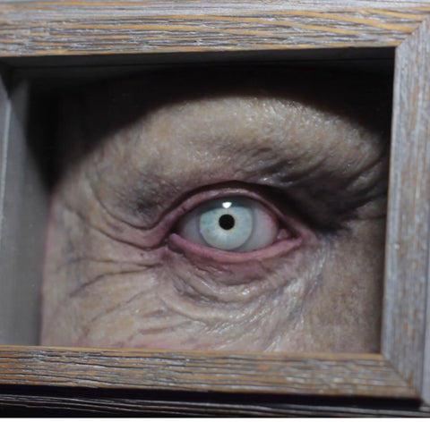 IN STOCK & Ready to Ship! The Watcher Mini Shadow Box Zombie Variant Eye not included