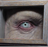 IN STOCK & Ready to Ship! The Watcher Mini Shadow Box Zombie Variant Eye not included