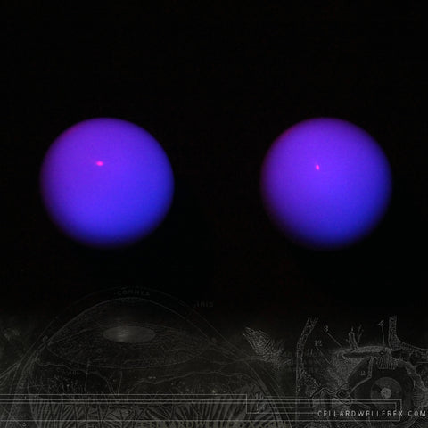 UV Glow White/Purple Solid Eyes