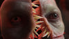 “With Teeth” ARTIST SPECIAL No. 09 Custom Watcher Display