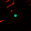 Toxic UV Glow in the dark Green Pupil Cataract Hyper-Realistic Zombie Eyes